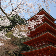 Asia Africa and the South Pacific Tours